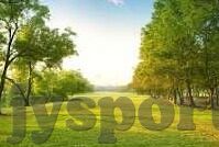 360足球在线比分直播-360足球在线比分直播，球迷的实时观赛新选择与深度体验