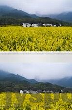 竞彩足球比分即时-揭秘竞彩足球比分即时，如何精准捕捉赛场风云，玩转足球投资？