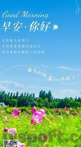 足球比赛比分概率-足球比赛比分概率解析，从数据到实战的全方位指南
